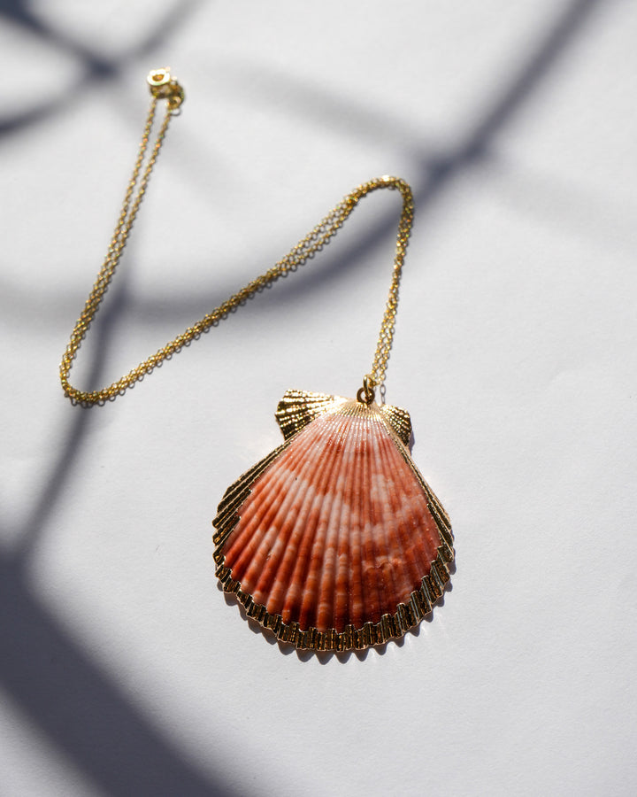 Sea shell ~ Necklace