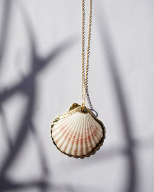 Seashell white  ~ Necklace