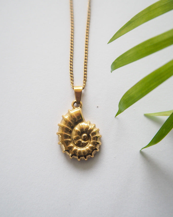 Seashell - Necklace