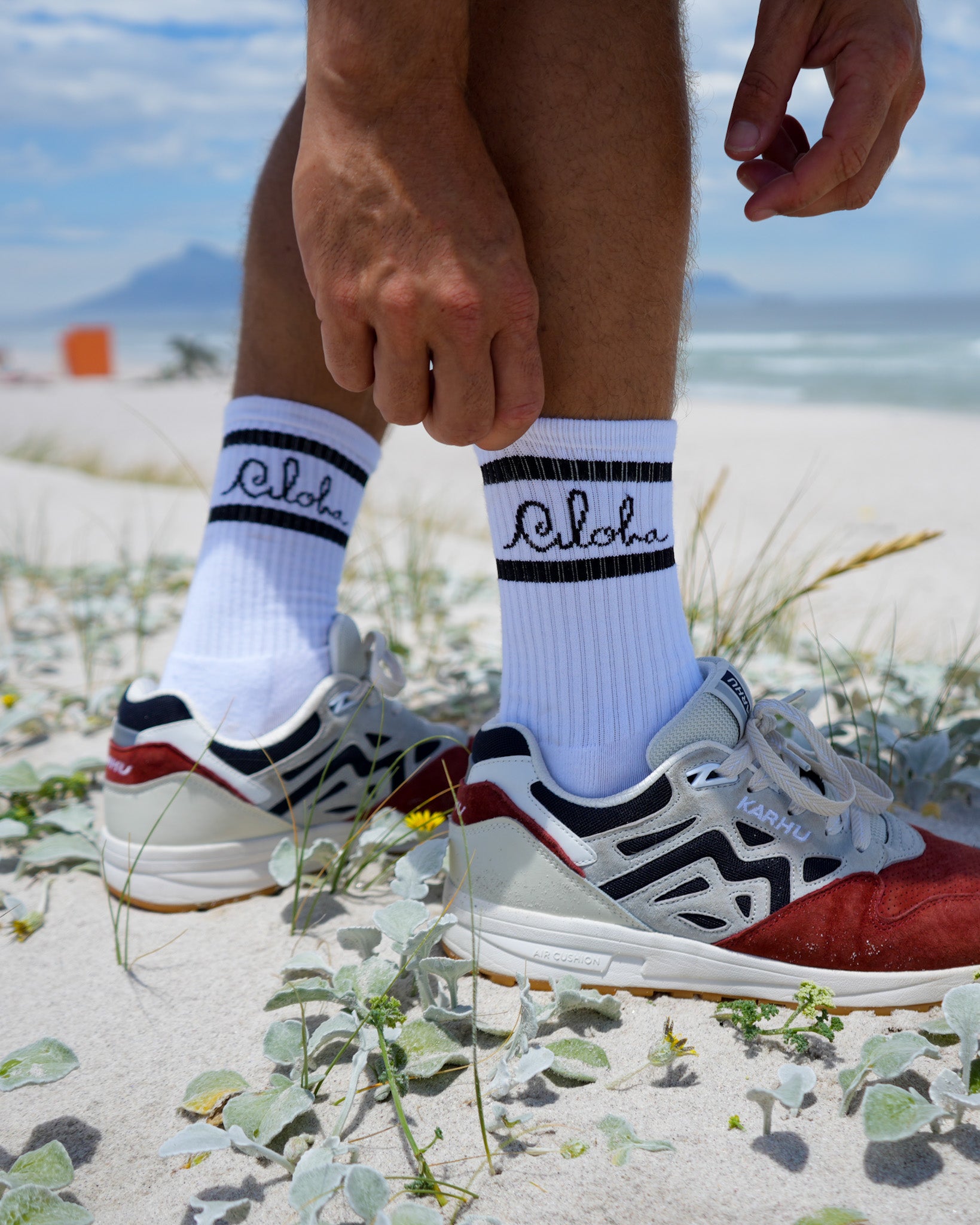 Aloha ~ Socks